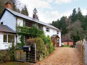 Forestry Cottage, Llandderfel